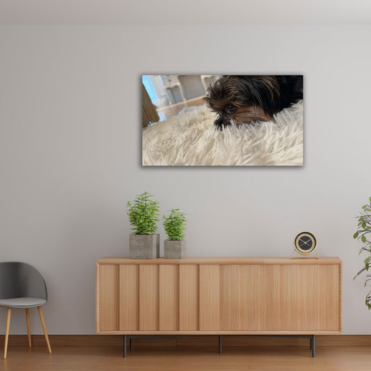 Rectangular Acrylic Prints