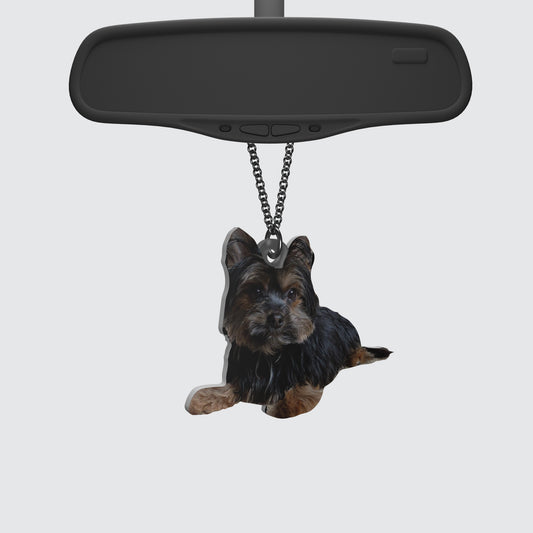 Custom Image Rearview Mirror Emblem